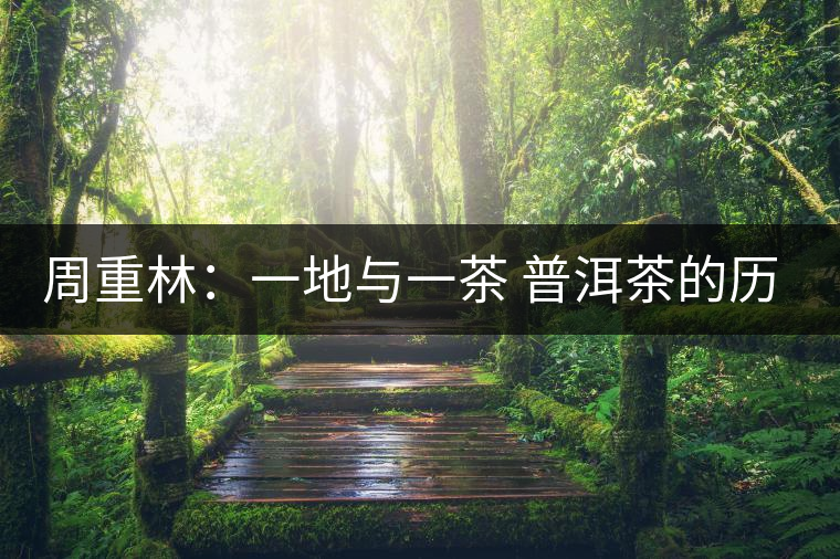 周重林：一地與一茶 普洱茶的歷史以及現(xiàn)場(chǎng)