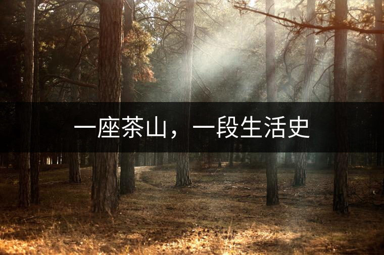 一座茶山，一段生活史