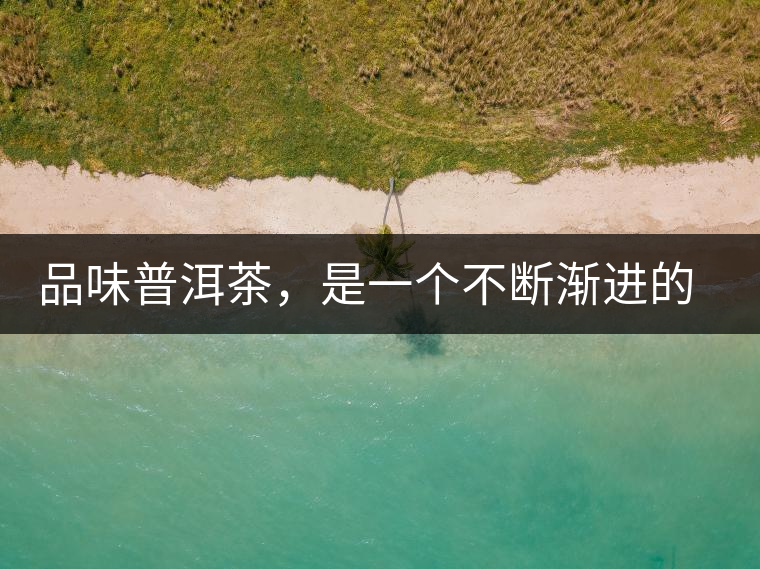 品味普洱茶，是一個不斷漸進的過程