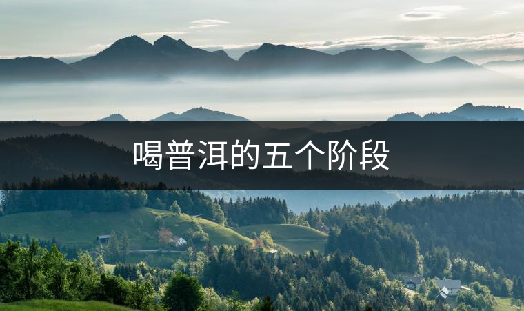 喝普洱的五個階段 喝普洱的五個階段