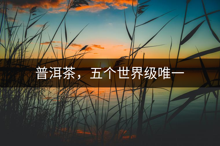 普洱茶，五個(gè)世界級(jí)唯一