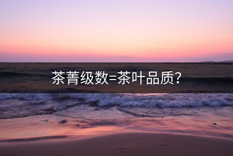 茶菁級(jí)數(shù)=茶葉品質(zhì)？