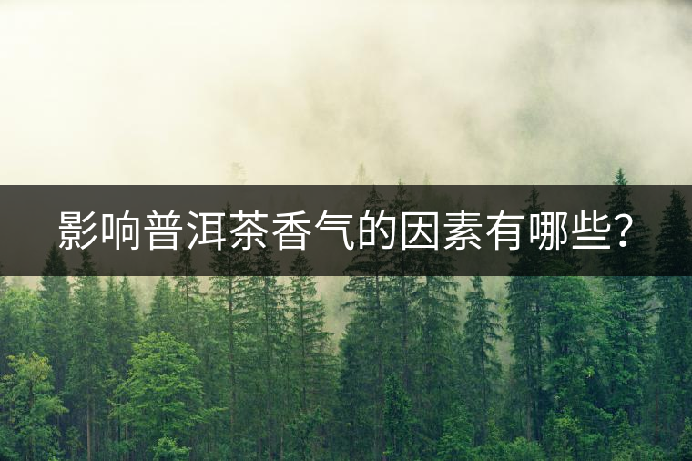 影響普洱茶香氣的因素有哪些？