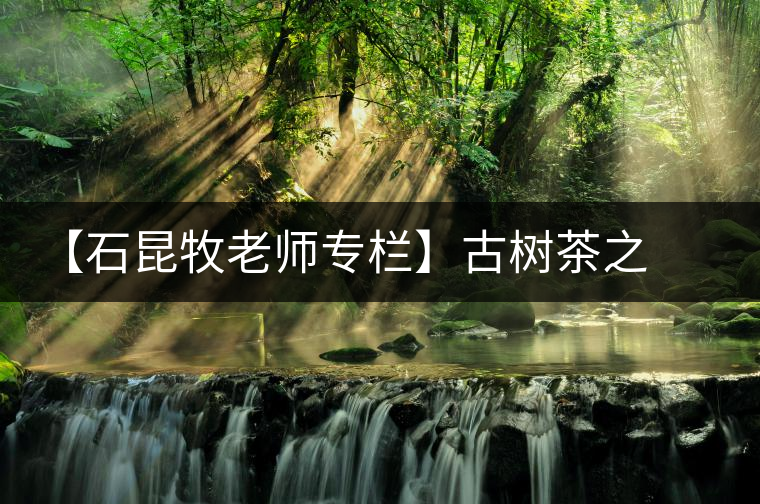 【石昆牧老師專欄】古樹茶之緣起 【石昆牧老師專欄】古樹茶之緣起