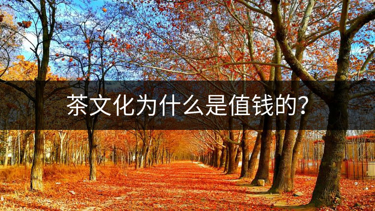 茶文化為什么是值錢的？