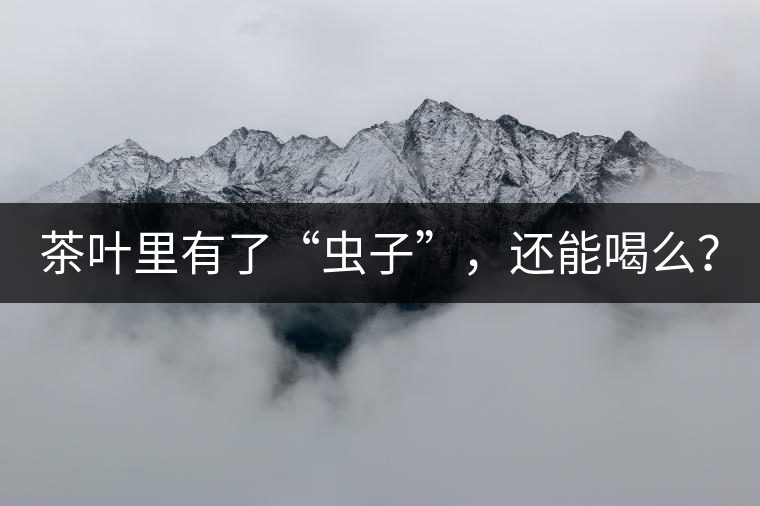 茶葉里有了“蟲子”，還能喝么？