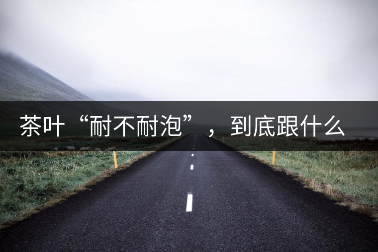 茶葉“耐不耐泡”，到底跟什么有關(guān)？