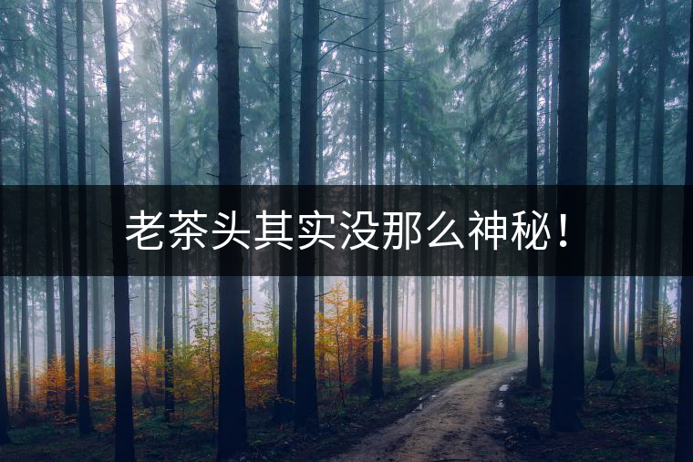 老茶頭其實沒那么神秘！