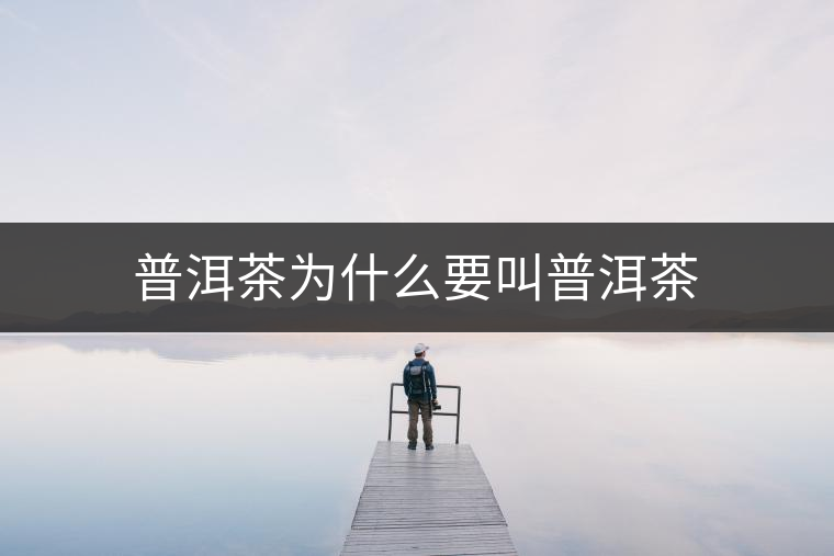 普洱茶為什么要叫普洱茶 普洱茶為什么要叫普洱茶