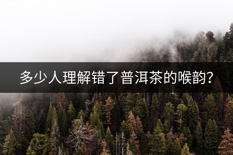多少人理解錯了普洱茶的喉韻？