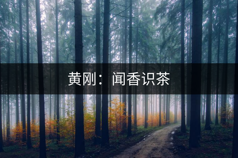 黃剛:聞香識(shí)茶 黃剛:聞香識(shí)茶