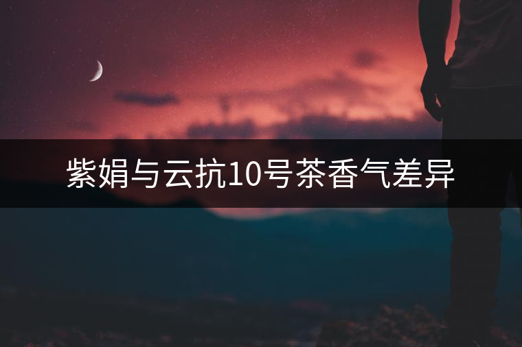 紫娟與云抗10號茶香氣差異 紫娟與云抗10號茶香氣差異