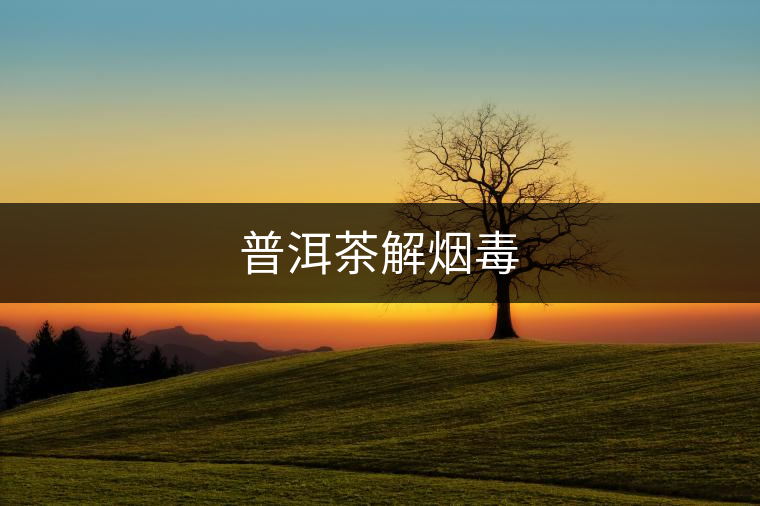 普洱茶解煙毒 普洱茶解煙毒