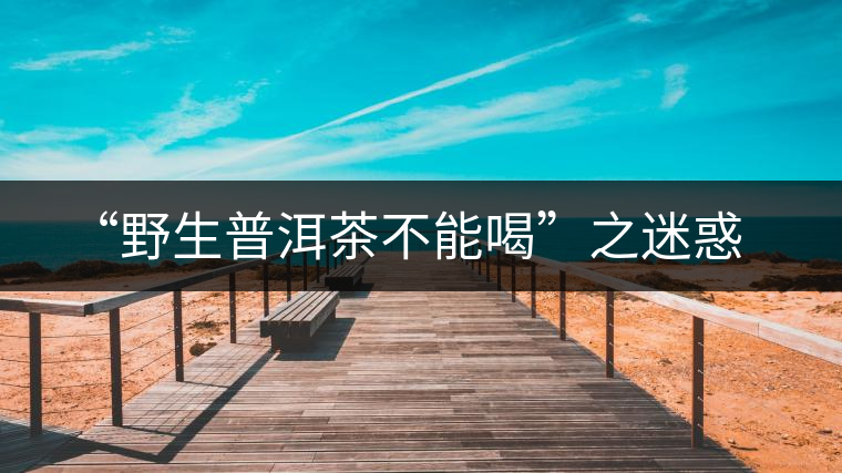 “野生普洱茶不能喝”之迷惑 “野生普洱茶不能喝”之迷惑