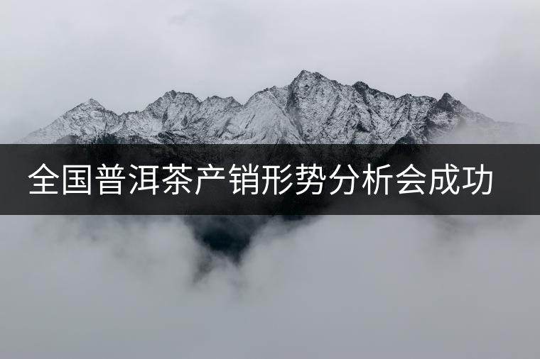 全國普洱茶產銷形勢分析會成功召開 全國普洱茶產銷形勢分析會成功召開