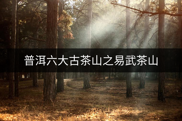 普洱六大古茶山之易武茶山 普洱六大古茶山之易武茶山