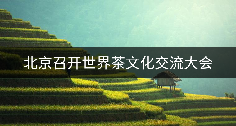 北京召開世界茶文化交流大會(huì) 北京召開世界茶文化交流大會(huì)