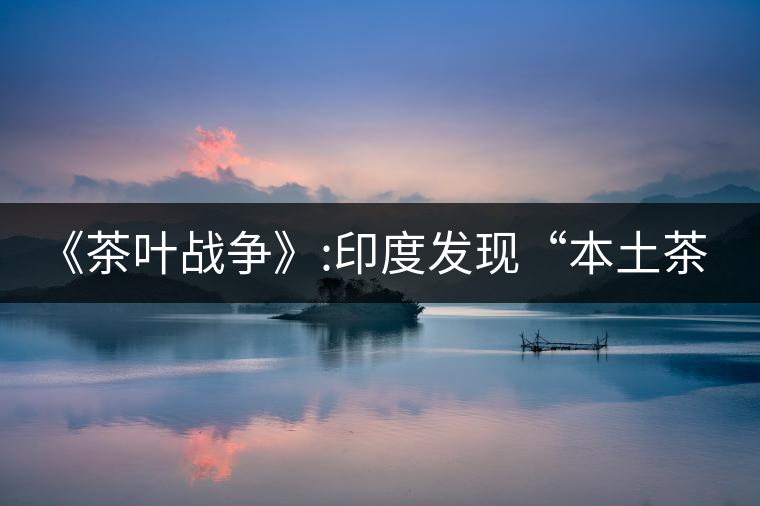 《茶葉戰(zhàn)爭》:印度發(fā)現(xiàn)“本土茶樹” 《茶葉戰(zhàn)爭》:印度發(fā)現(xiàn)“本土茶樹”