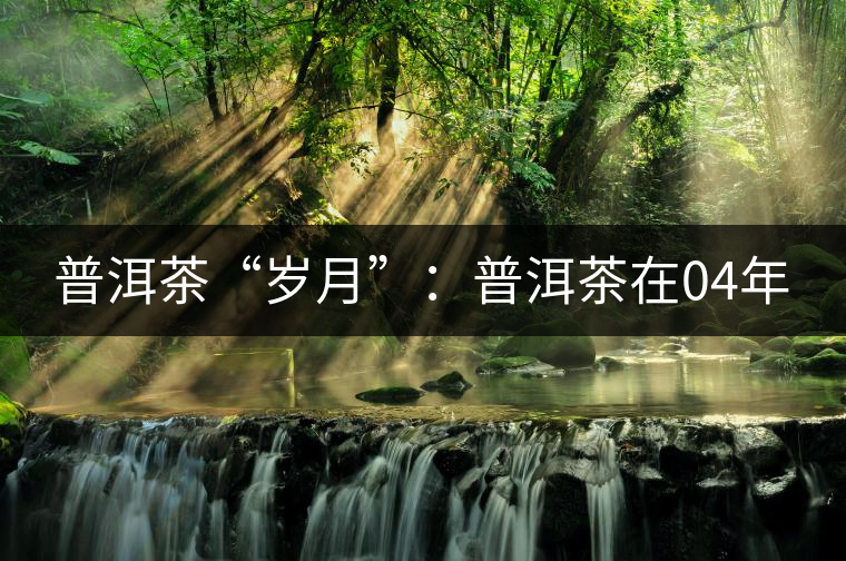 普洱茶“歲月”:普洱茶在04年 普洱茶“歲月”:普洱茶在04年