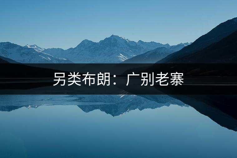 另類(lèi)布朗：廣別老寨