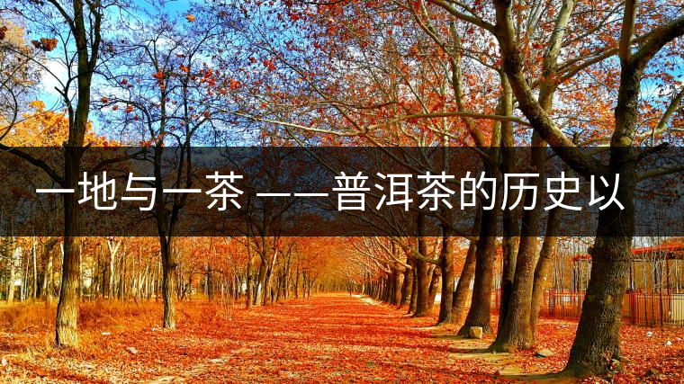 一地與一茶 ——普洱茶的歷史以及現(xiàn)場