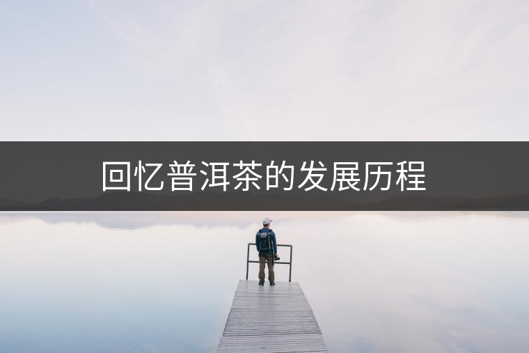 回憶普洱茶的發(fā)展歷程 回憶普洱茶的發(fā)展歷程