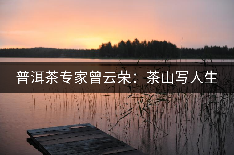 普洱茶專家曾云榮:茶山寫人生 普洱茶專家曾云榮:茶山寫人生