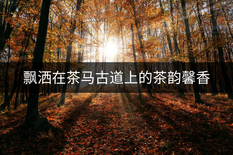 飄灑在茶馬古道上的茶韻馨香 飄灑在茶馬古道上的茶韻馨香