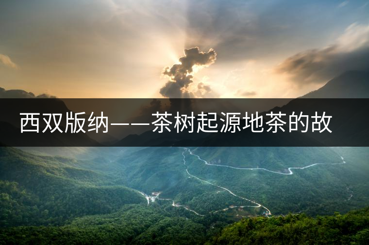 西雙版納——茶樹起源地茶的故鄉(xiāng)、云茶之源