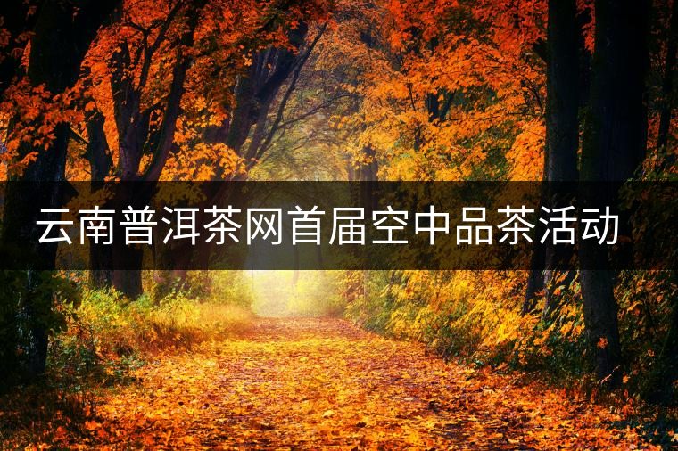云南普洱茶網(wǎng)首屆空中品茶活動交流情況匯報 云南普洱茶網(wǎng)首屆空中品茶活動交流情況匯報