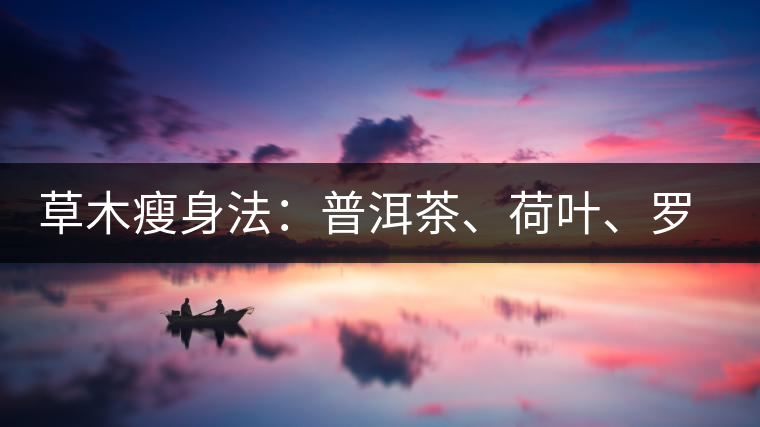 草木瘦身法：普洱茶、荷葉、羅漢果