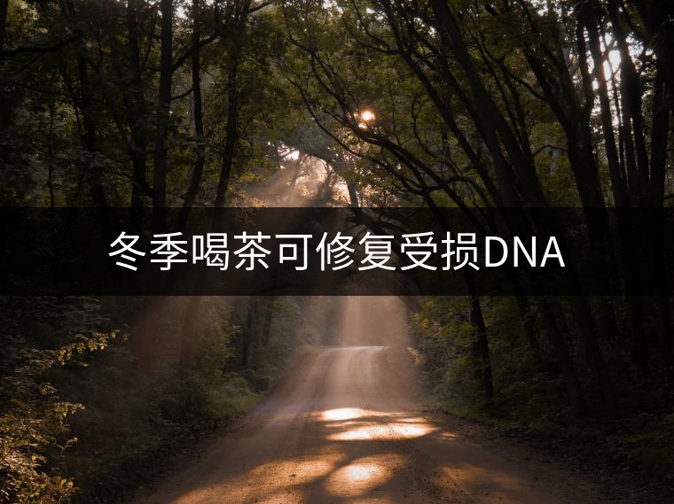 冬季喝茶可修復受損DNA 冬季喝茶可修復受損DNA