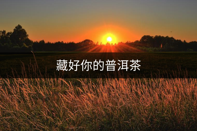藏好你的普洱茶 藏好你的普洱茶