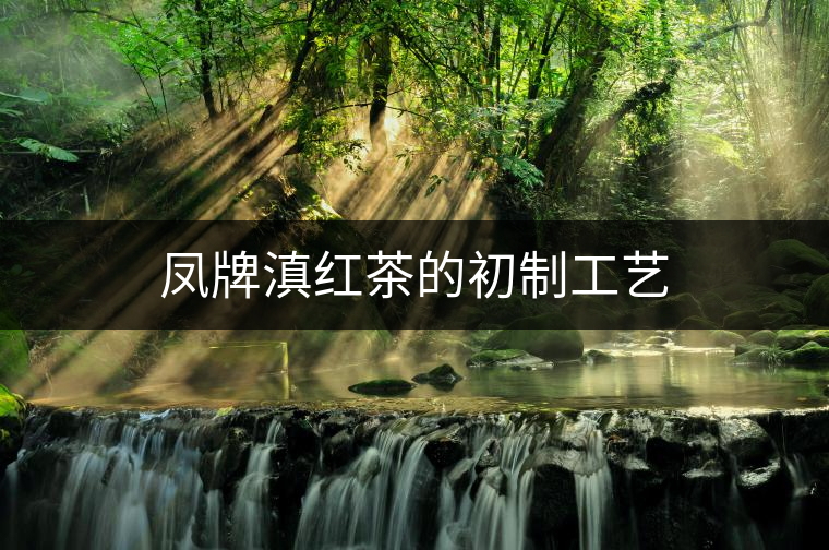 鳳牌滇紅茶的初制工藝