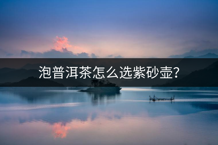 泡普洱茶怎么選紫砂壺？