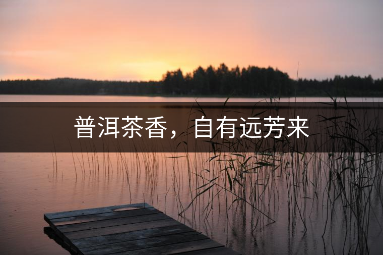普洱茶香，自有遠芳來