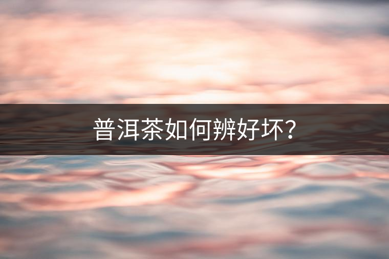 普洱茶如何辨好壞？