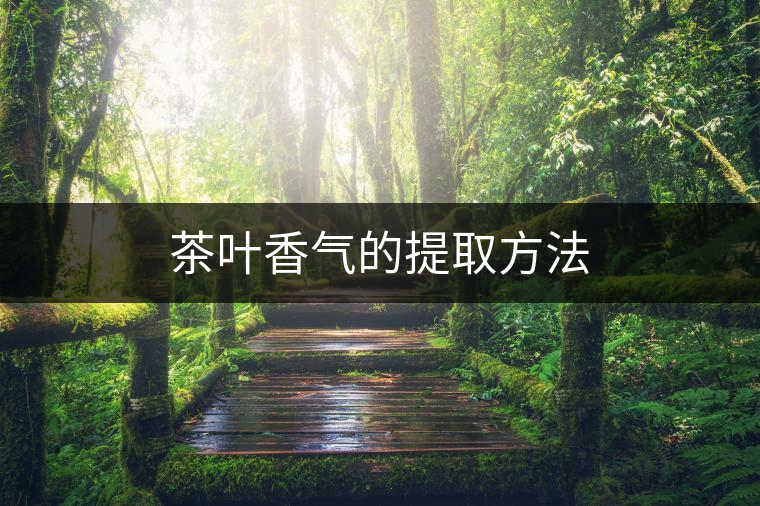 茶葉香氣的提取方法 茶葉香氣的提取方法