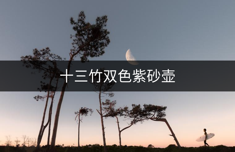 十三竹雙色紫砂壺 十三竹雙色紫砂壺