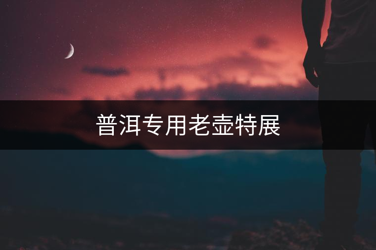 普洱專用老壺特展