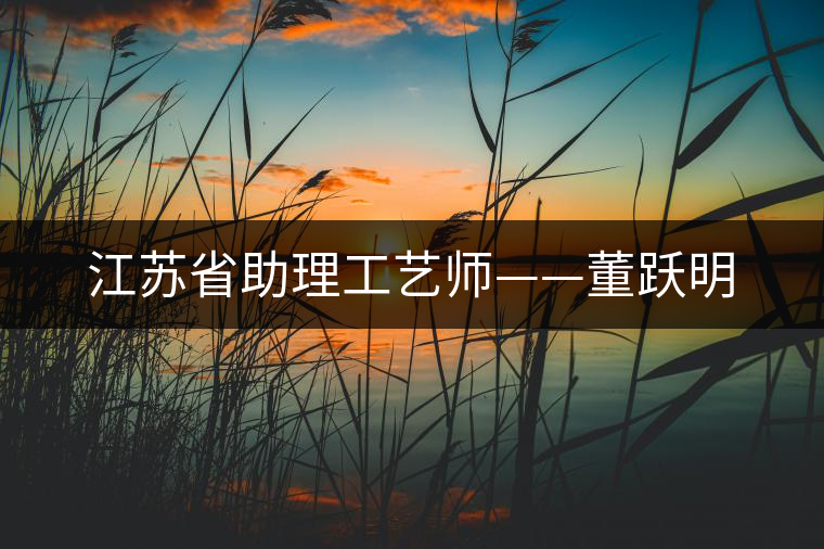 江蘇省助理工藝師——董躍明