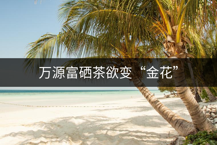 萬源富硒茶欲變“金花”