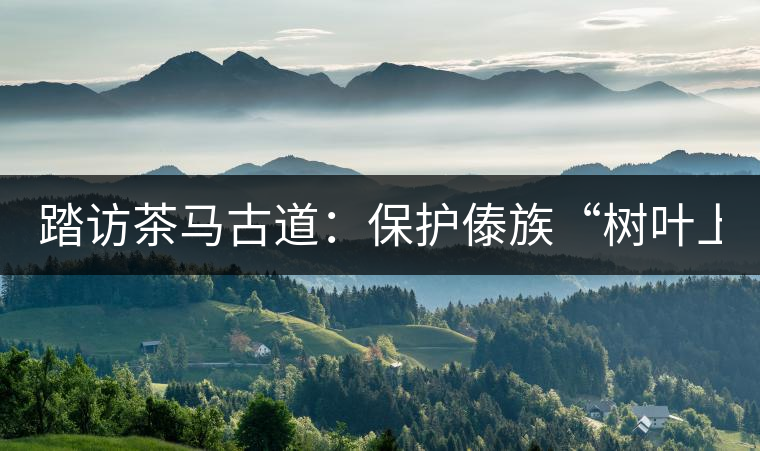 踏訪茶馬古道:保護(hù)傣族“樹葉上的文明” 踏訪茶馬古道:保護(hù)傣族“樹葉上的文明”