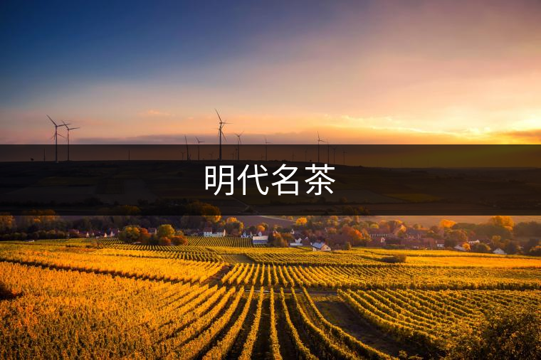 明代名茶 明代名茶