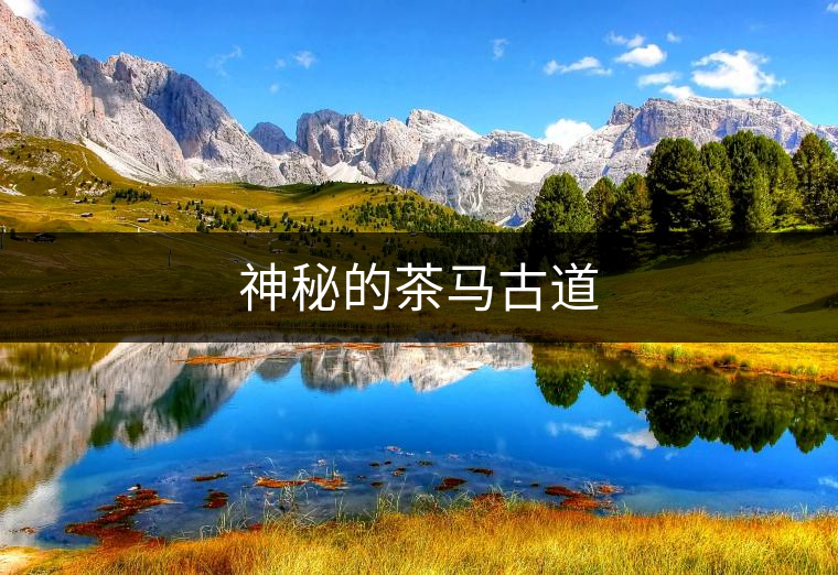 神秘的茶馬古道 神秘的茶馬古道