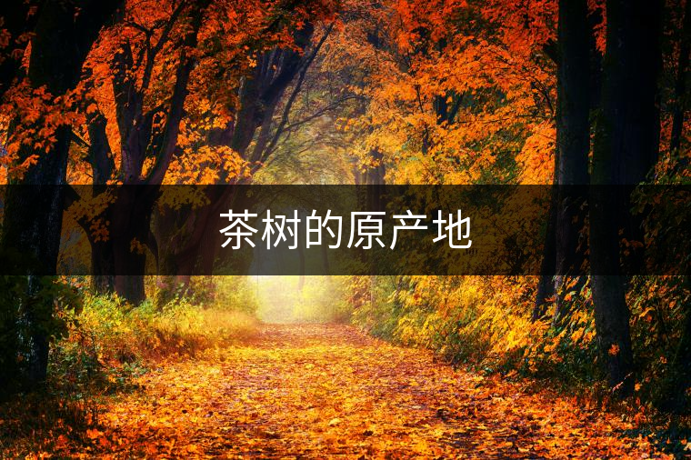 茶樹(shù)的原產(chǎn)地 茶樹(shù)的原產(chǎn)地