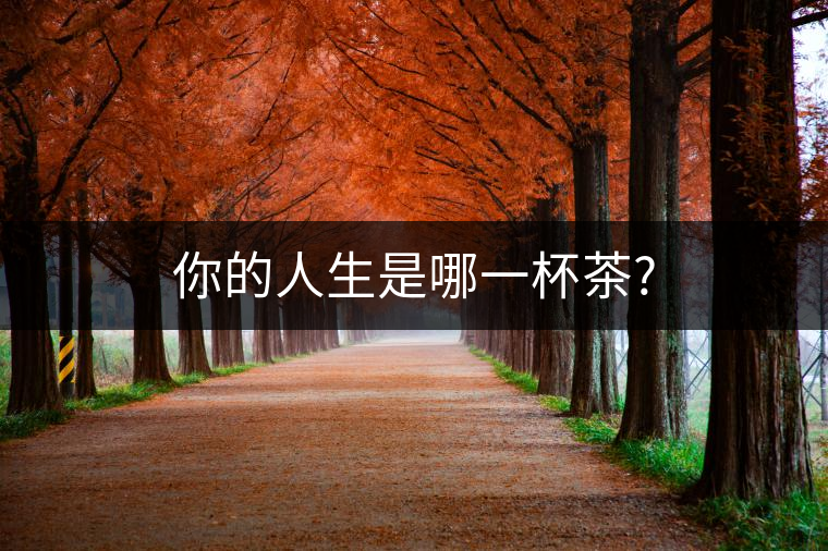 你的人生是哪一杯茶? 你的人生是哪一杯茶?