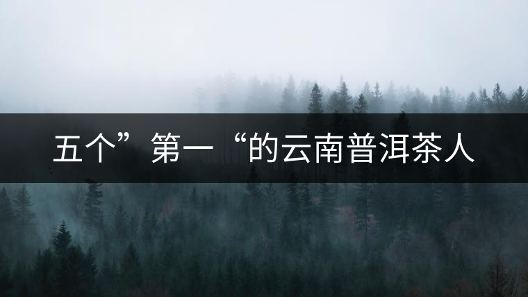 五個”第一“的云南普洱茶人 五個”第一“的云南普洱茶人