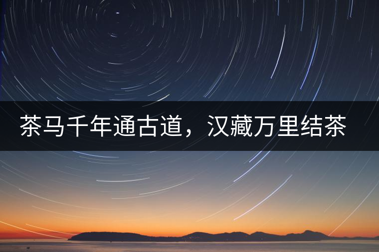 茶馬千年通古道,漢藏萬(wàn)里結(jié)茶緣 茶馬千年通古道,漢藏萬(wàn)里結(jié)茶緣