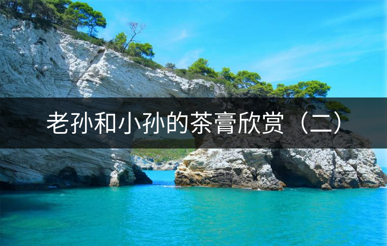 老孫和小孫的茶膏欣賞（二）